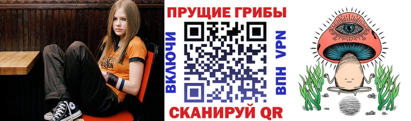 darknet как зайти  гидра зеркало  Высоковск  Галлюциногенные грибы Cubensis 